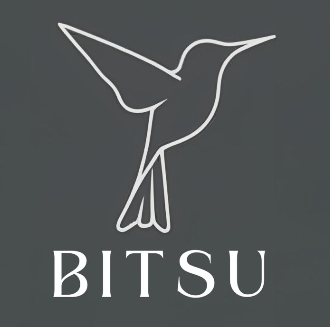 bitsu experiences